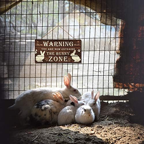 Putuo Dekor Komik Tavşan İşareti Tavşan Tavşan Ev Dekor Hediye Tavşan Anne Tavşan Sevgilisi 12x6 İnç (Tavşan Bölgesi)