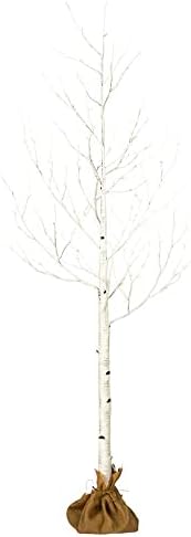 Vickerman 3 ' Beyaz Huş Ağacı, Sıcak Beyaz 3mm Geniş Açılı LED ışıklar.